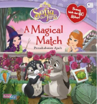 Image of Sofia The First : A Magical Match